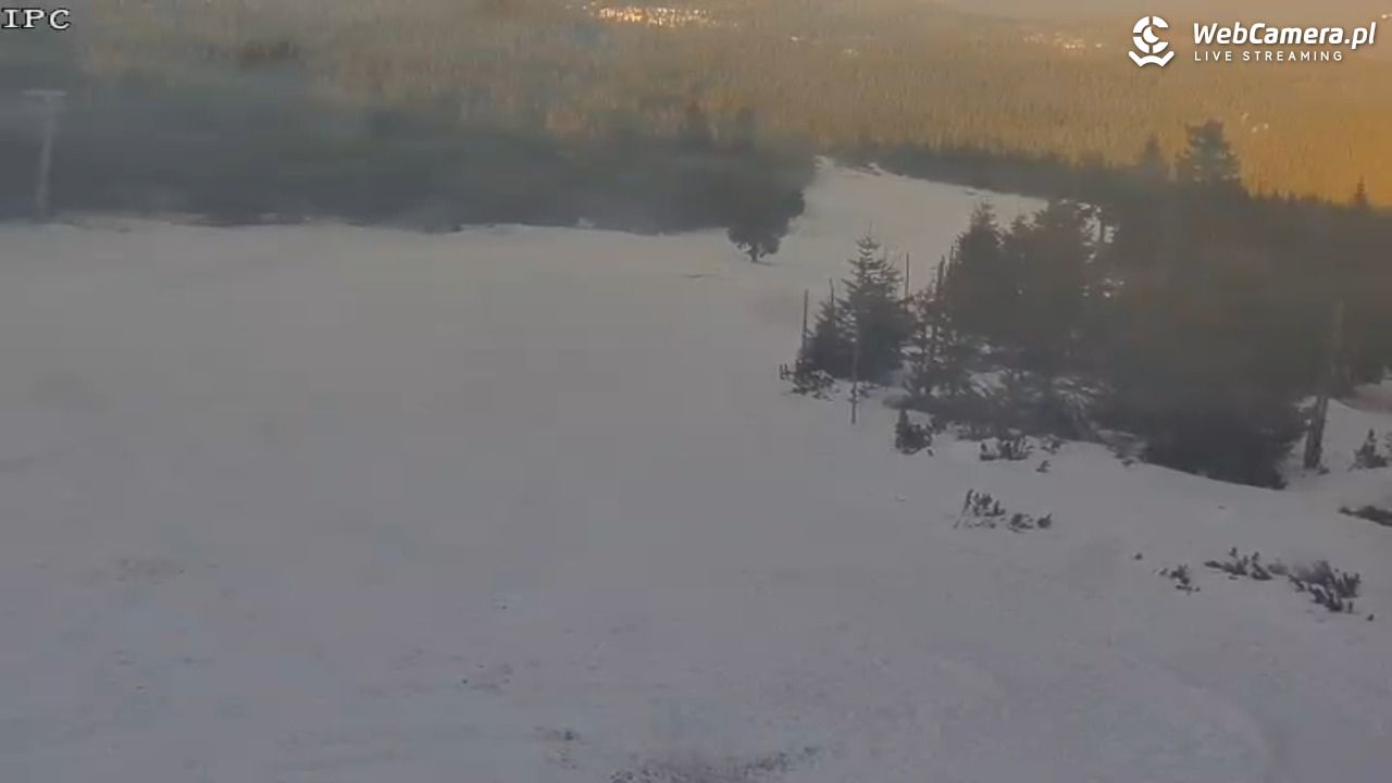 Ski Arena Szrenica - Sudety Lift - Karkonosz Express - 21 styczeń 2026, 09:23