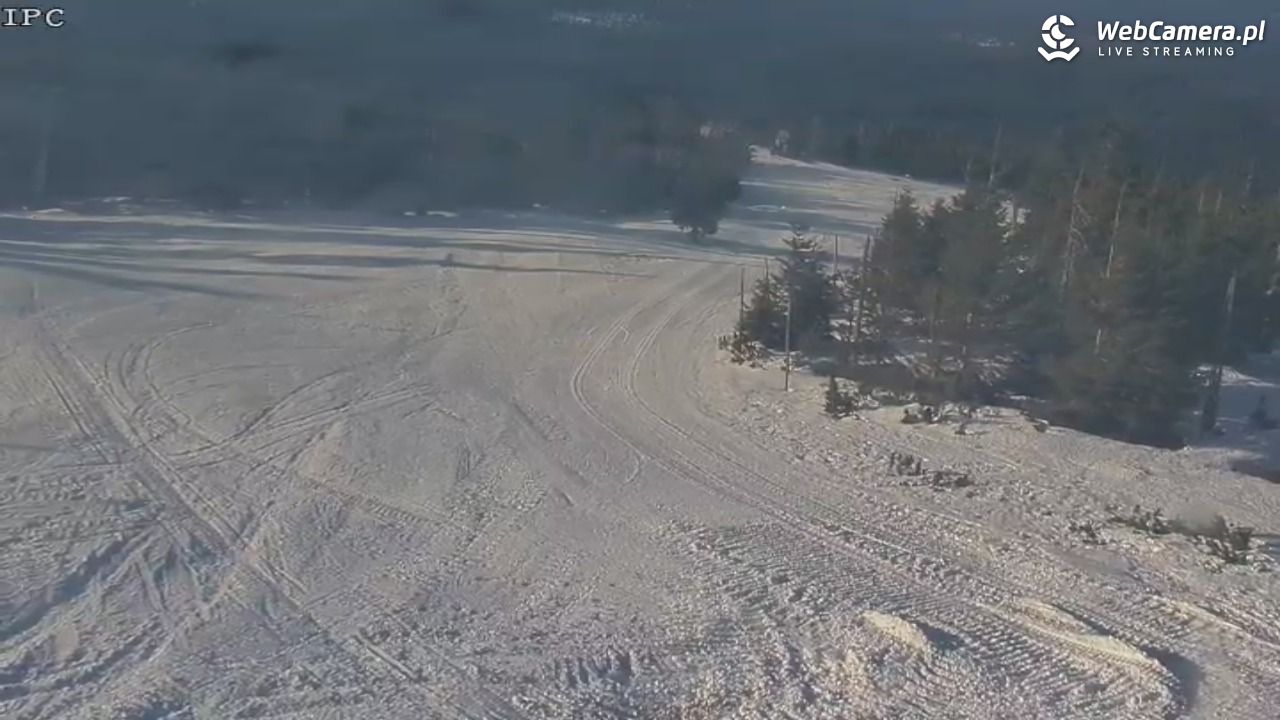 Ski Arena Szrenica - Sudety Lift - Karkonosz Express - 21 styczeń 2026, 13:29