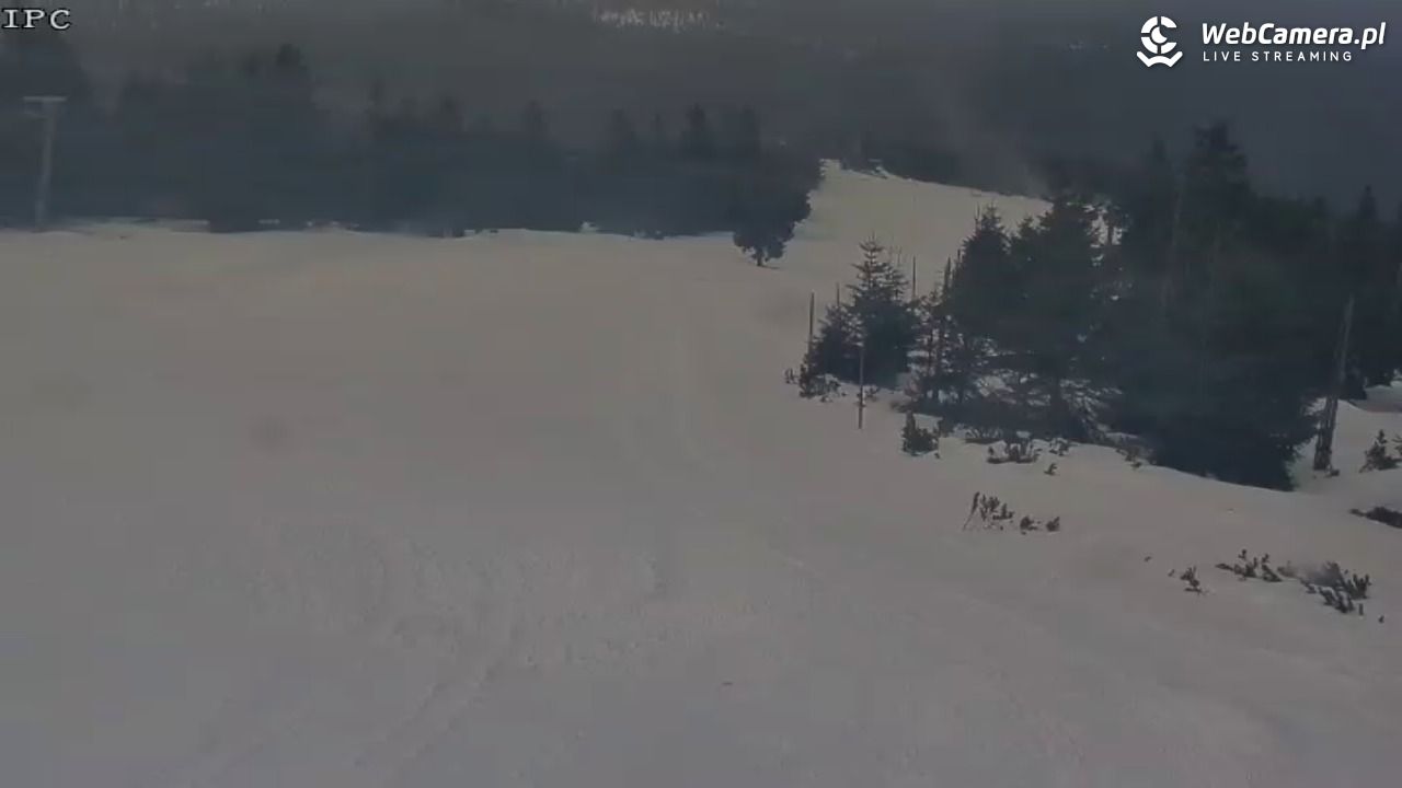 Ski Arena Szrenica - Sudety Lift - Karkonosz Express - 23 styczeń 2026, 12:02