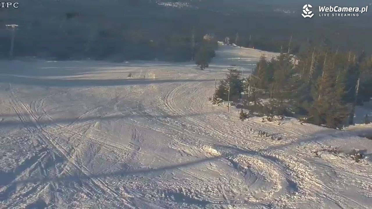 Ski Arena Szrenica - Sudety Lift - Karkonosz Express - 19 styczeń 2026, 11:02