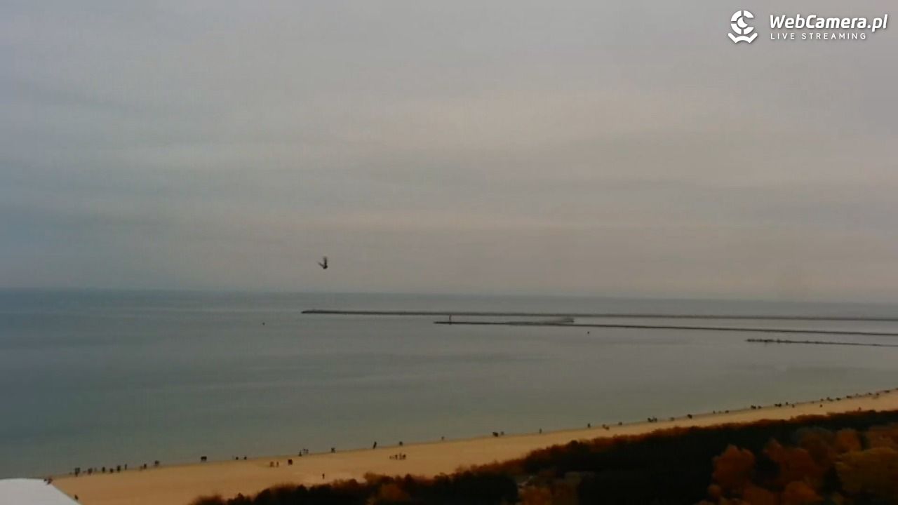 ŚWINOUJŚCIE - widok na plaże i morze - 09 listopad 2025, 14:59