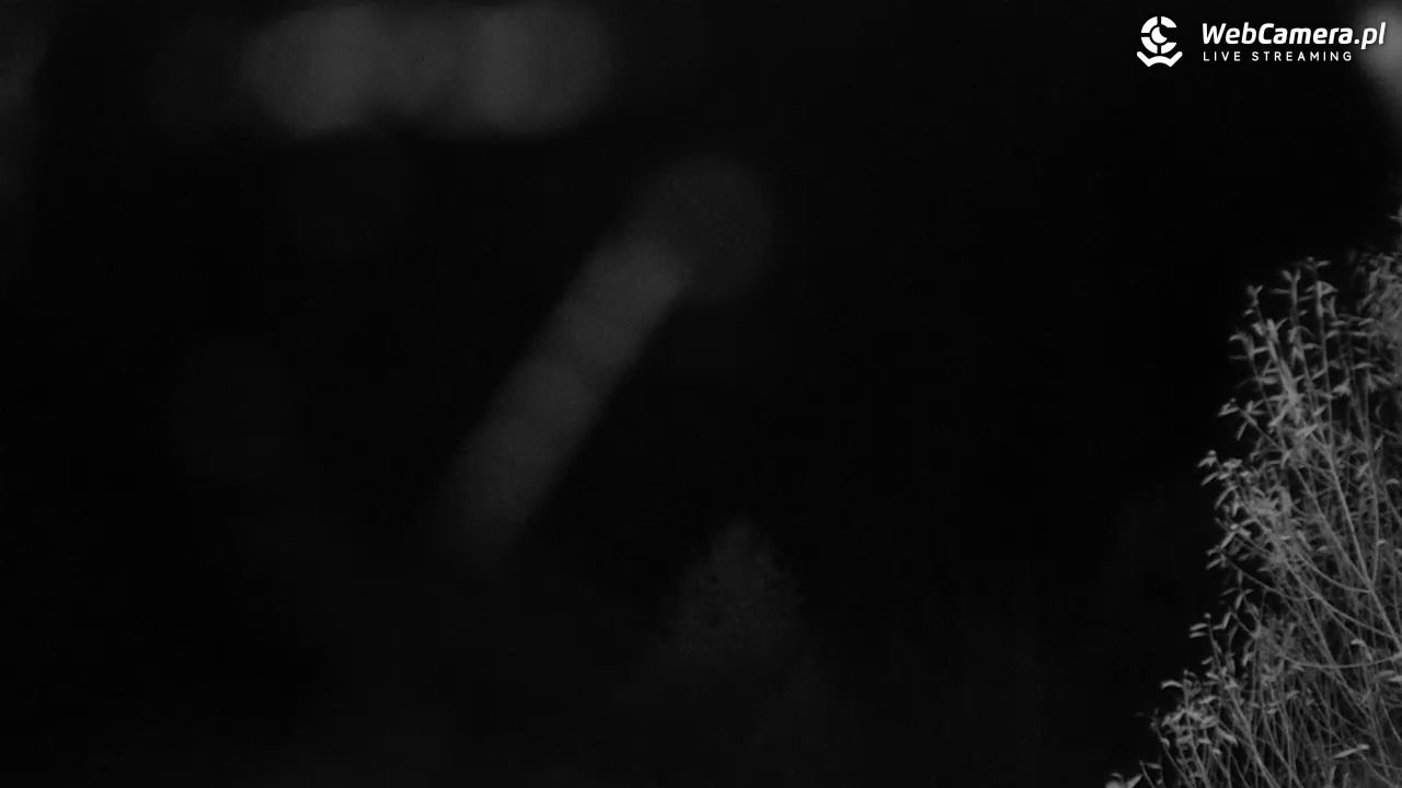 Harbutowice - Szklana Góra - orczyk - 26 październik 2025, 04:16