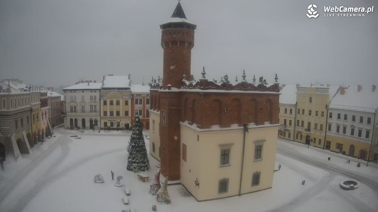 Rynek miejski w Tarnowie - 11 styczeń 2026, 14:25