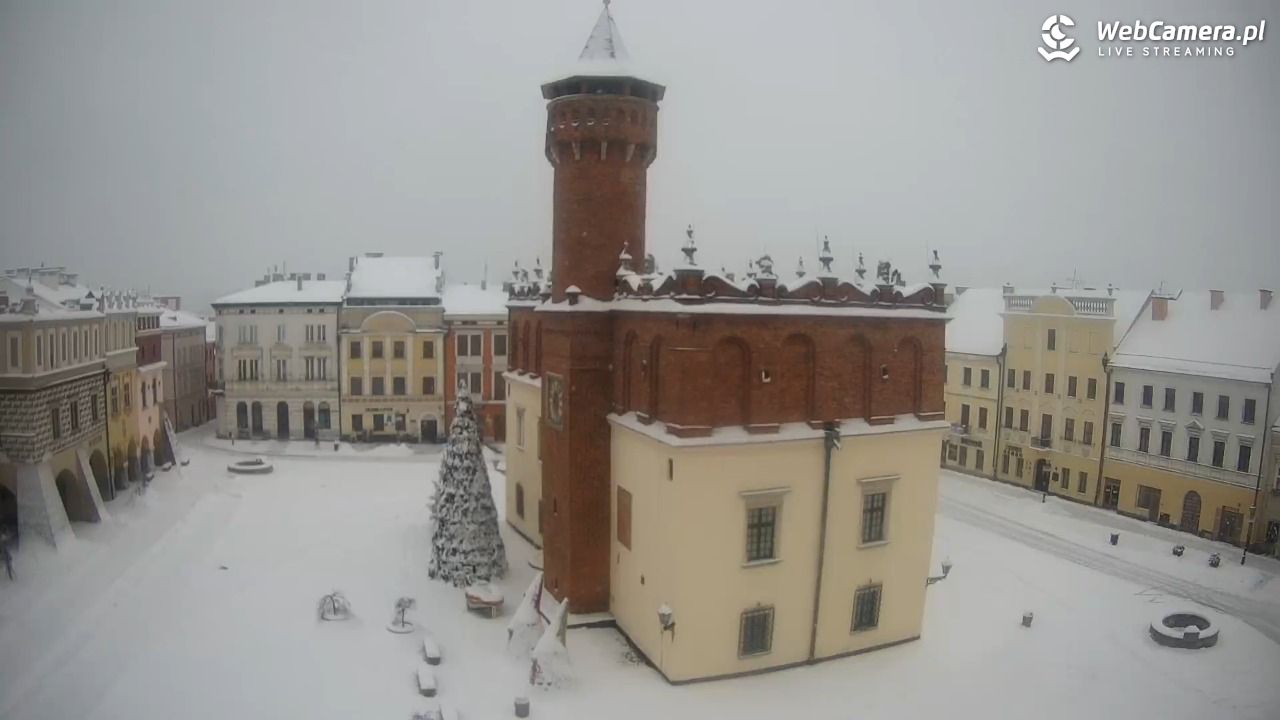 Rynek miejski w Tarnowie - 08 styczeń 2026, 09:00