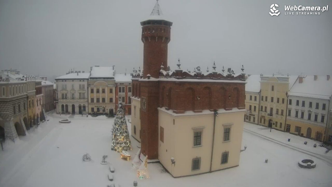 Rynek miejski w Tarnowie - 08 styczeń 2026, 08:00