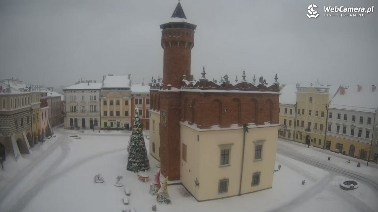 Rynek miejski w Tarnowie - 11 styczeń 2026, 14:22