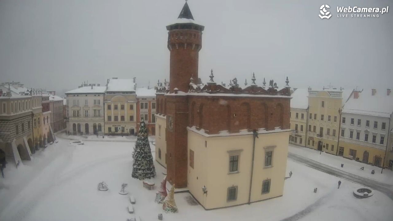 Rynek miejski w Tarnowie - 11 styczeń 2026, 13:39