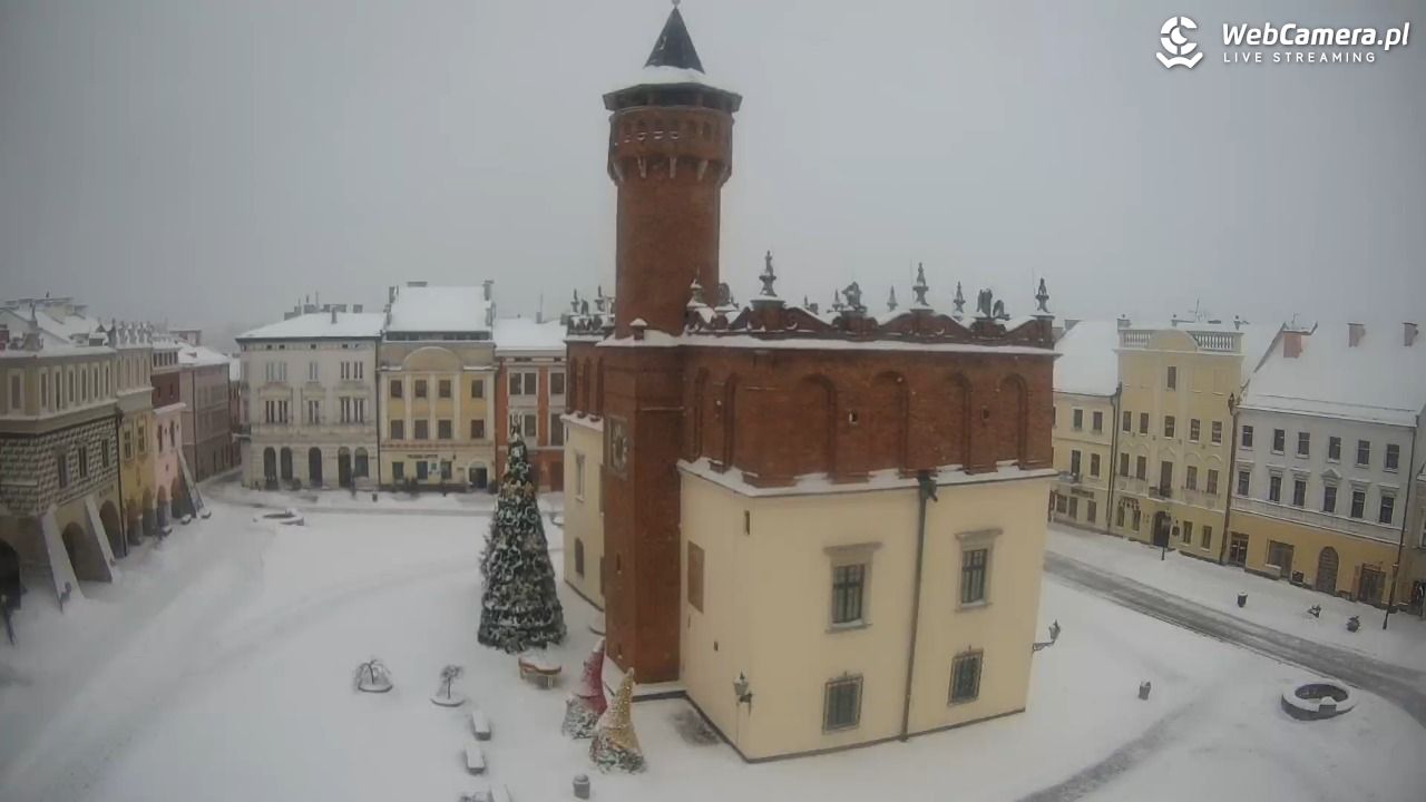 Rynek miejski w Tarnowie - 11 styczeń 2026, 13:39