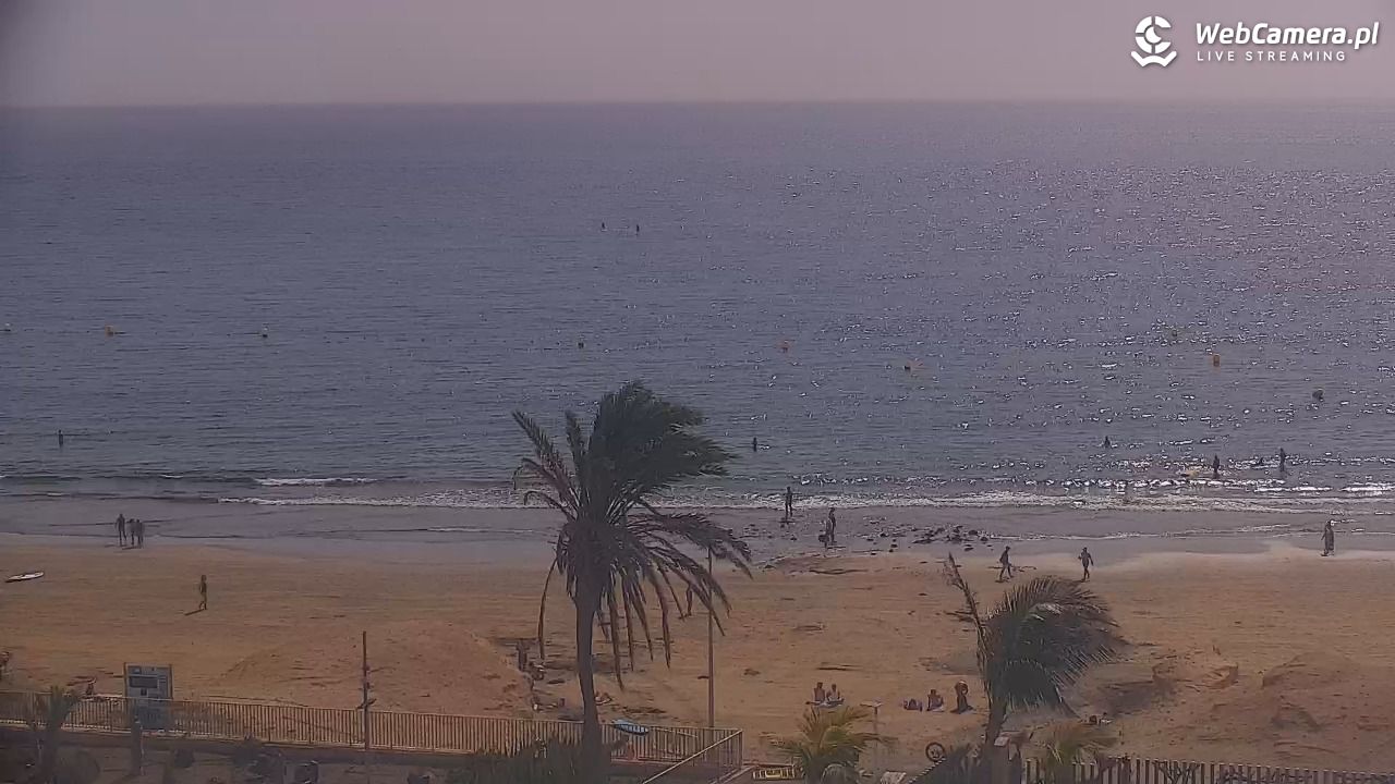 TENERYFA - El Medano - 23 luty 2026, 12:23