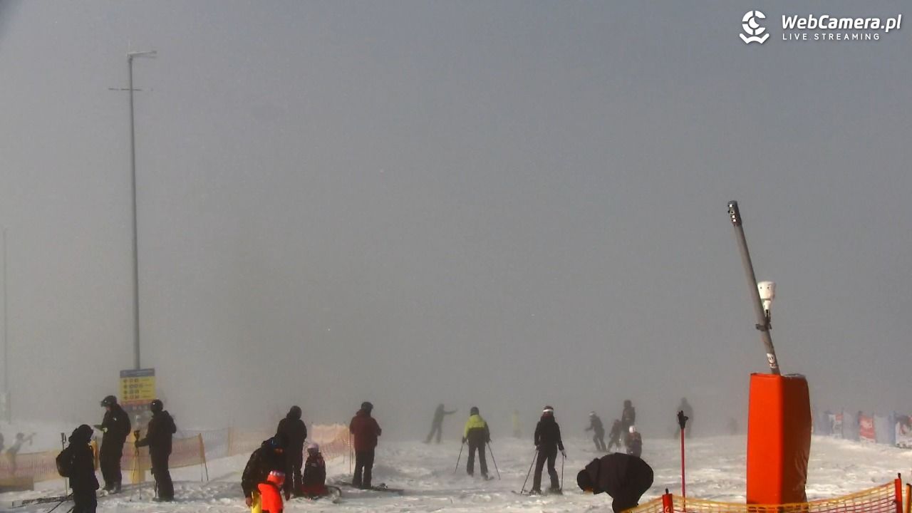 SZCZYRK MOUNTAIN RESORT - Hala Skrzyczeńska pośrednia - 31 styczeń 2026, 11:02