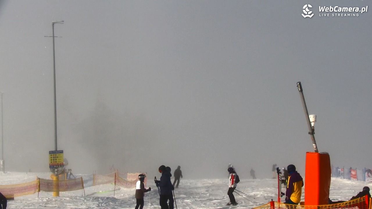 SZCZYRK MOUNTAIN RESORT - Hala Skrzyczeńska pośrednia - 31 styczeń 2026, 10:51