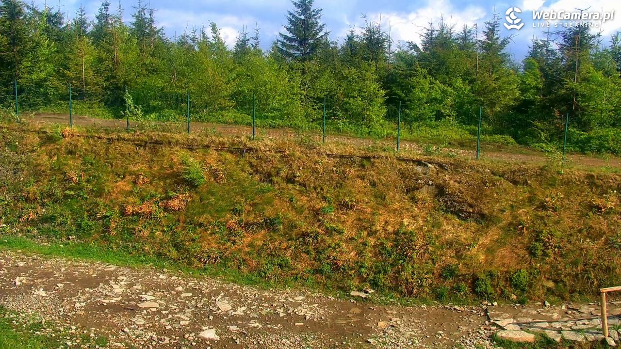 SZCZYRK MOUNTAIN RESORT - Zbójnicka Kopa - 30 maj 2026, 17:00