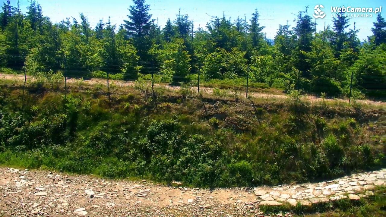 SZCZYRK MOUNTAIN RESORT - Zbójnicka Kopa - 01 lipiec 2025, 11:03