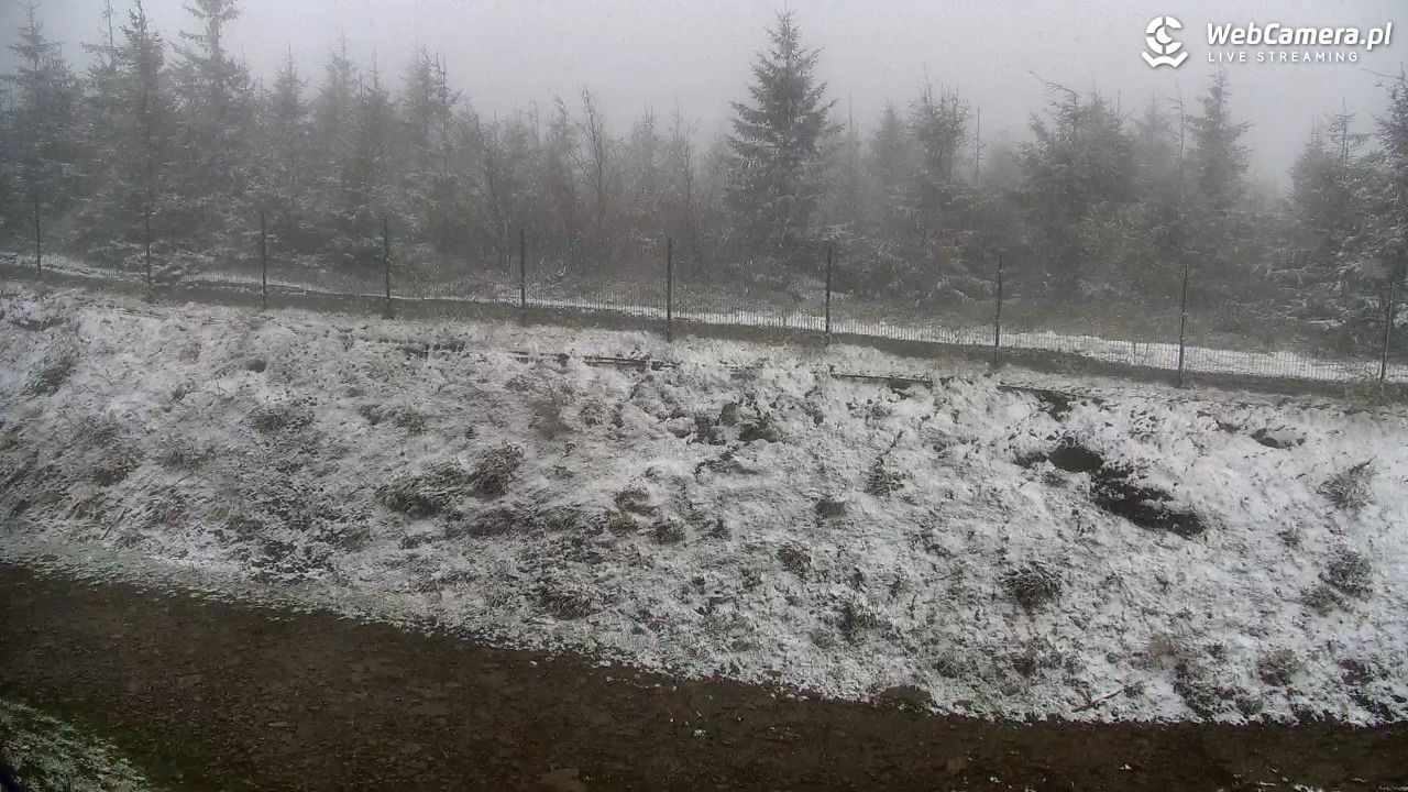 SZCZYRK MOUNTAIN RESORT - Zbójnicka Kopa - 15 maj 2025, 10:30