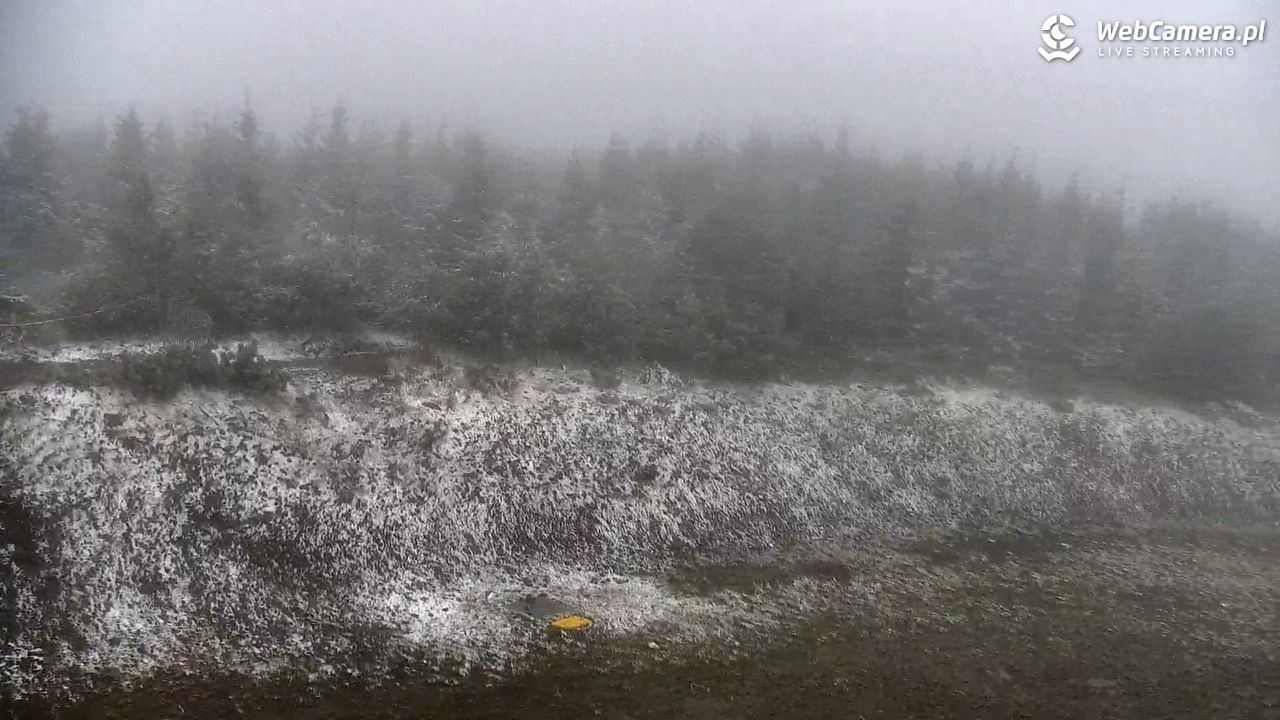 SZCZYRK MOUNTAIN RESORT - Zbójnicka Kopa - 15 maj 2025, 09:40