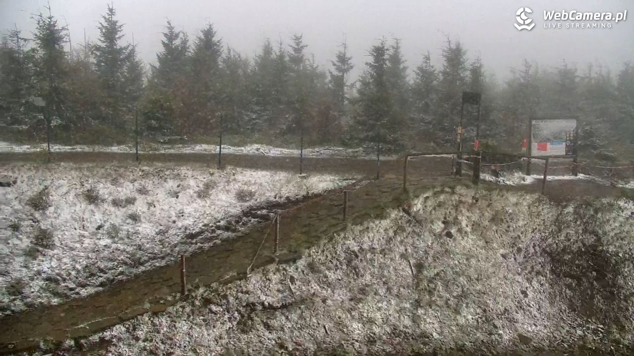 SZCZYRK MOUNTAIN RESORT - Zbójnicka Kopa - 15 maj 2025, 08:59