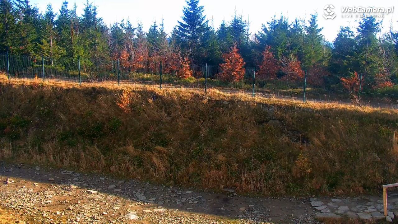 SZCZYRK MOUNTAIN RESORT - Zbójnicka Kopa - 05 listopad 2025, 13:38