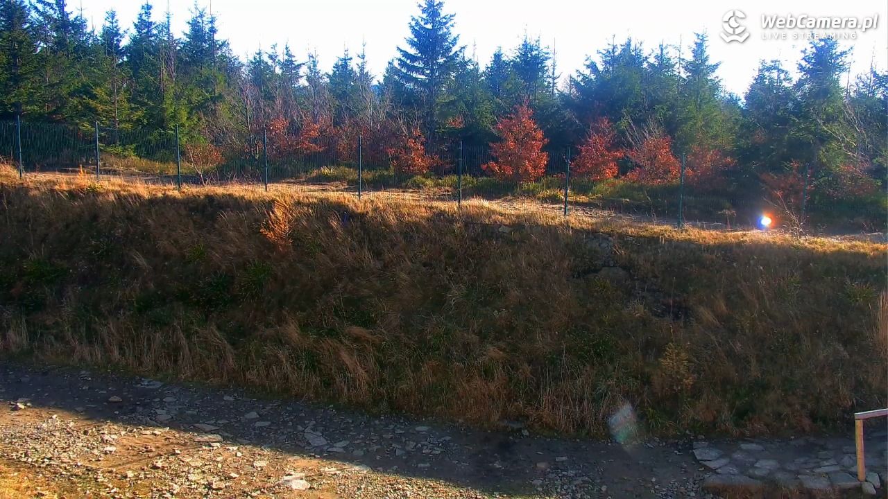 SZCZYRK MOUNTAIN RESORT - Zbójnicka Kopa - 05 listopad 2025, 12:20