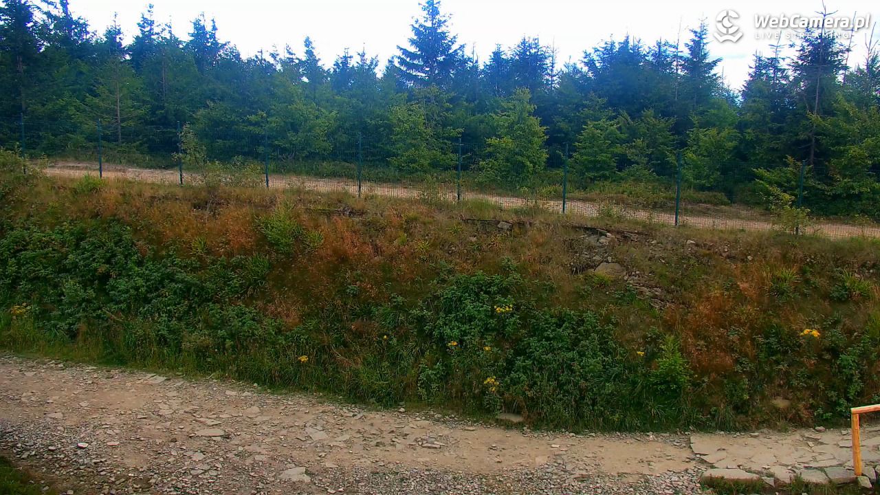 SZCZYRK MOUNTAIN RESORT - Zbójnicka Kopa - 18 sierpień 2025, 18:08