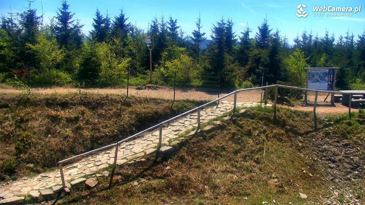 SZCZYRK MOUNTAIN RESORT - Zbójnicka Kopa - 25 maj 2026, 13:12
