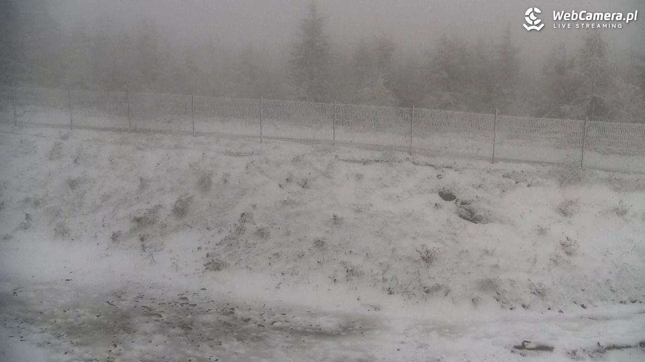 SZCZYRK MOUNTAIN RESORT - Zbójnicka Kopa - 18 maj 2025, 08:23