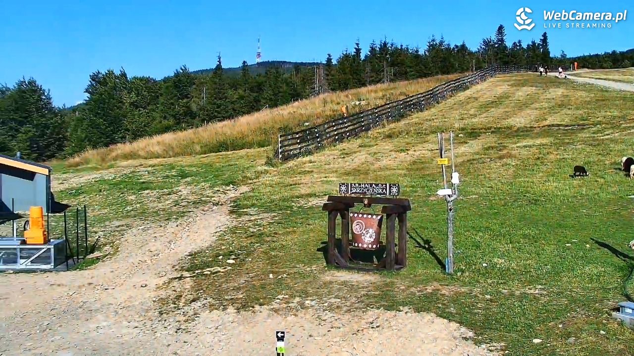 SZCZYRK MOUNTAIN RESORT - HALA SKRZYCZEŃSKA - 30 lipiec 2026, 17:26