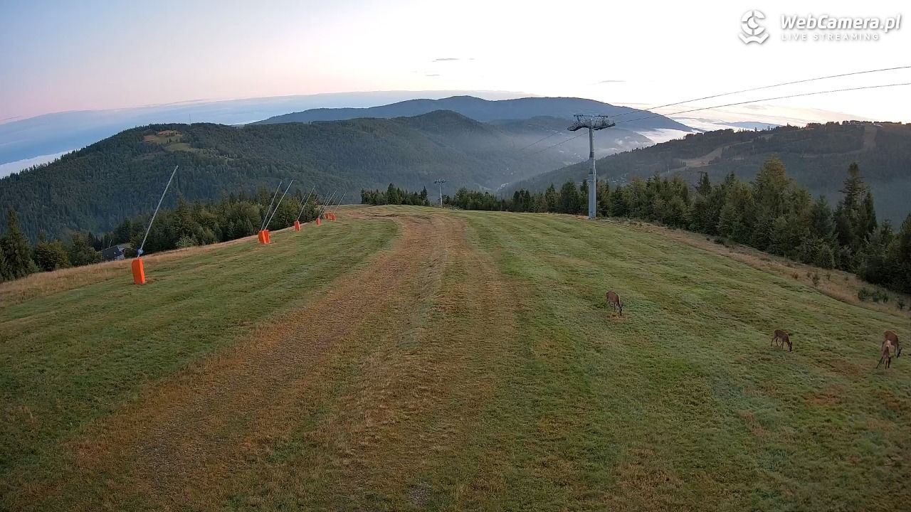 SZCZYRK MOUNTAIN RESORT - Hala Pośrednia - 09 wresień 2025, 06:01