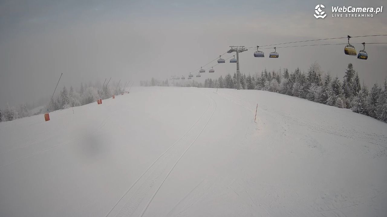 SZCZYRK MOUNTAIN RESORT - Hala Pośrednia - 31 styczeń 2026, 08:02
