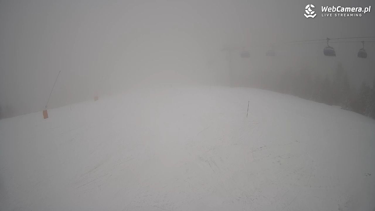 SZCZYRK MOUNTAIN RESORT - Hala Pośrednia - 24 luty 2026, 11:45