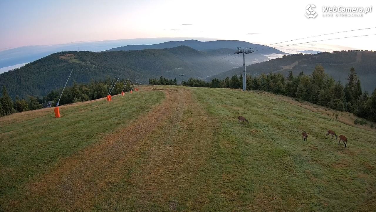 SZCZYRK MOUNTAIN RESORT - Hala Pośrednia - 09 wresień 2025, 06:00