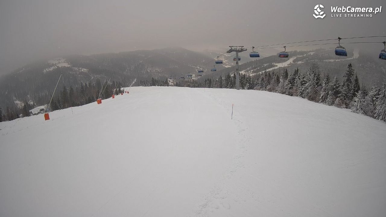 SZCZYRK MOUNTAIN RESORT - Hala Pośrednia - 10 styczeń 2026, 08:28
