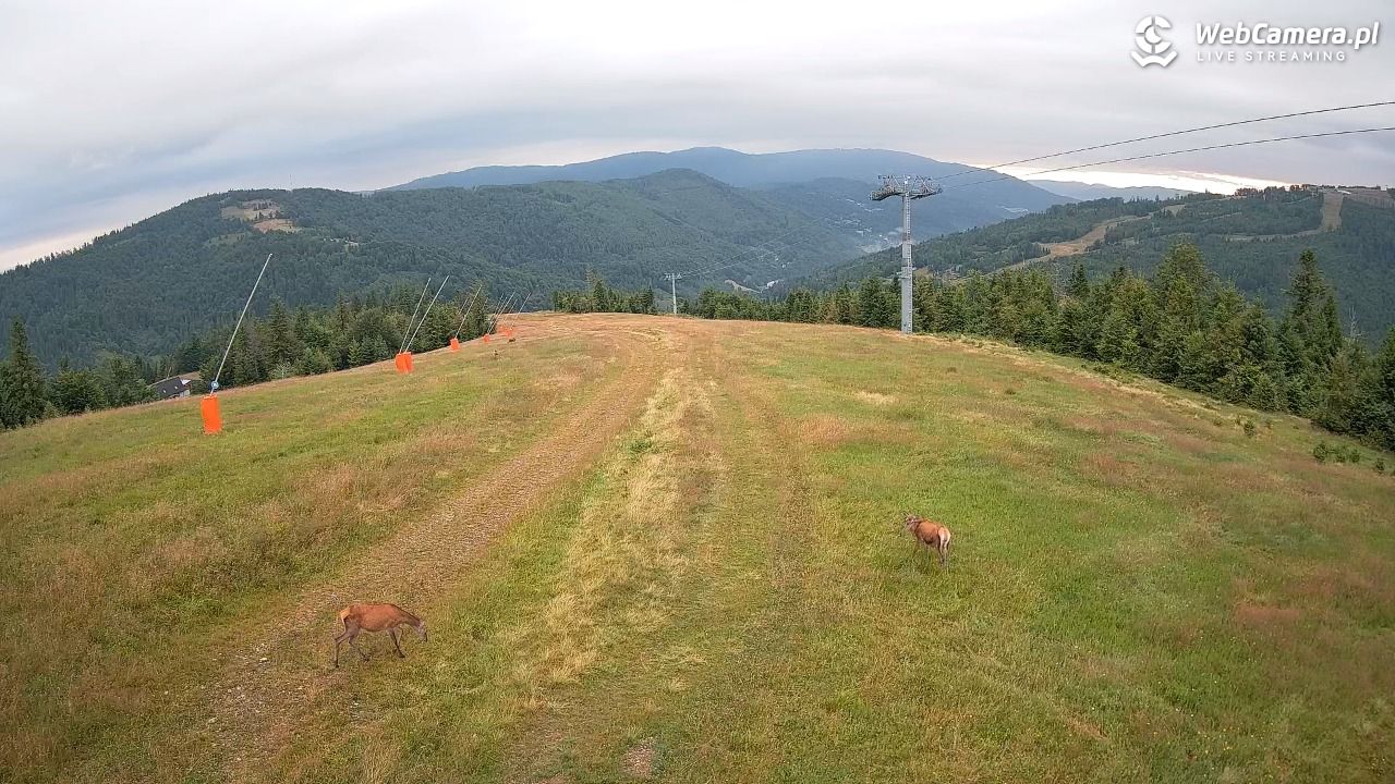 SZCZYRK MOUNTAIN RESORT - Hala Pośrednia - 18 lipiec 2025, 05:58