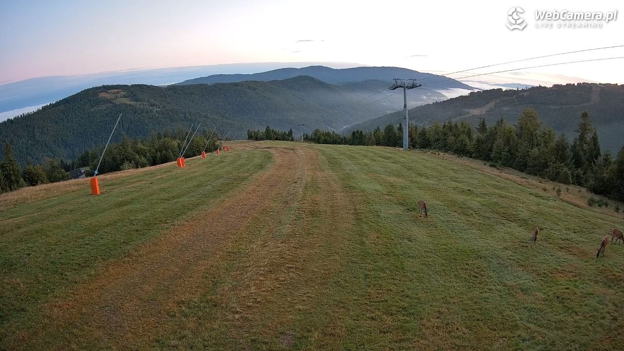 SZCZYRK MOUNTAIN RESORT - Hala Pośrednia - 09 wresień 2025, 06:01