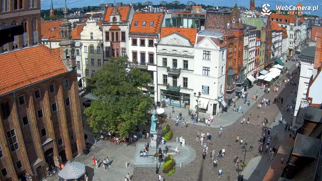 Toruń - widok na Rynek Staromiejski NOWOŚĆ - 08 sierpień 2026, 15:16