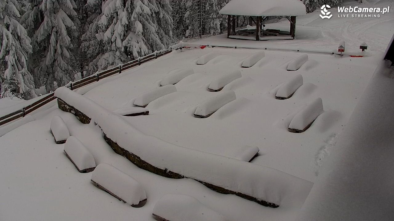 Turbacz - Gorce - 12 styczeń 2026, 12:37