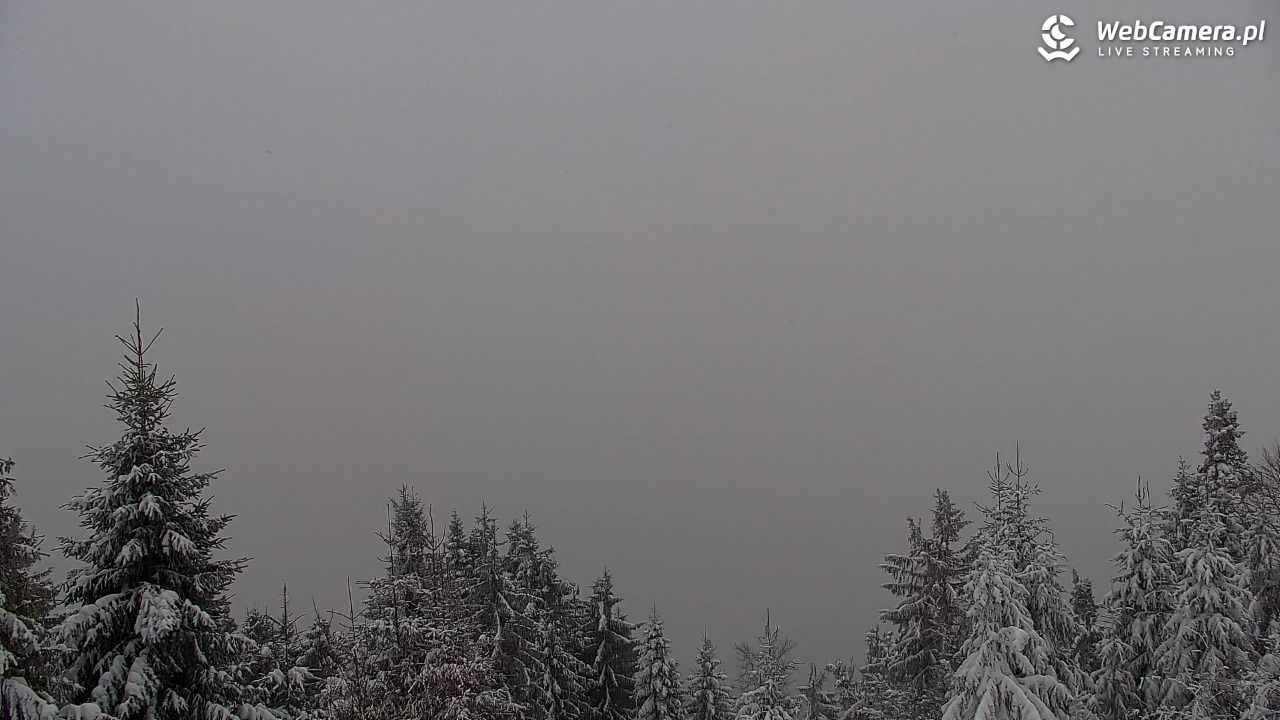 Turbacz - Gorce - 11 styczeń 2026, 09:00