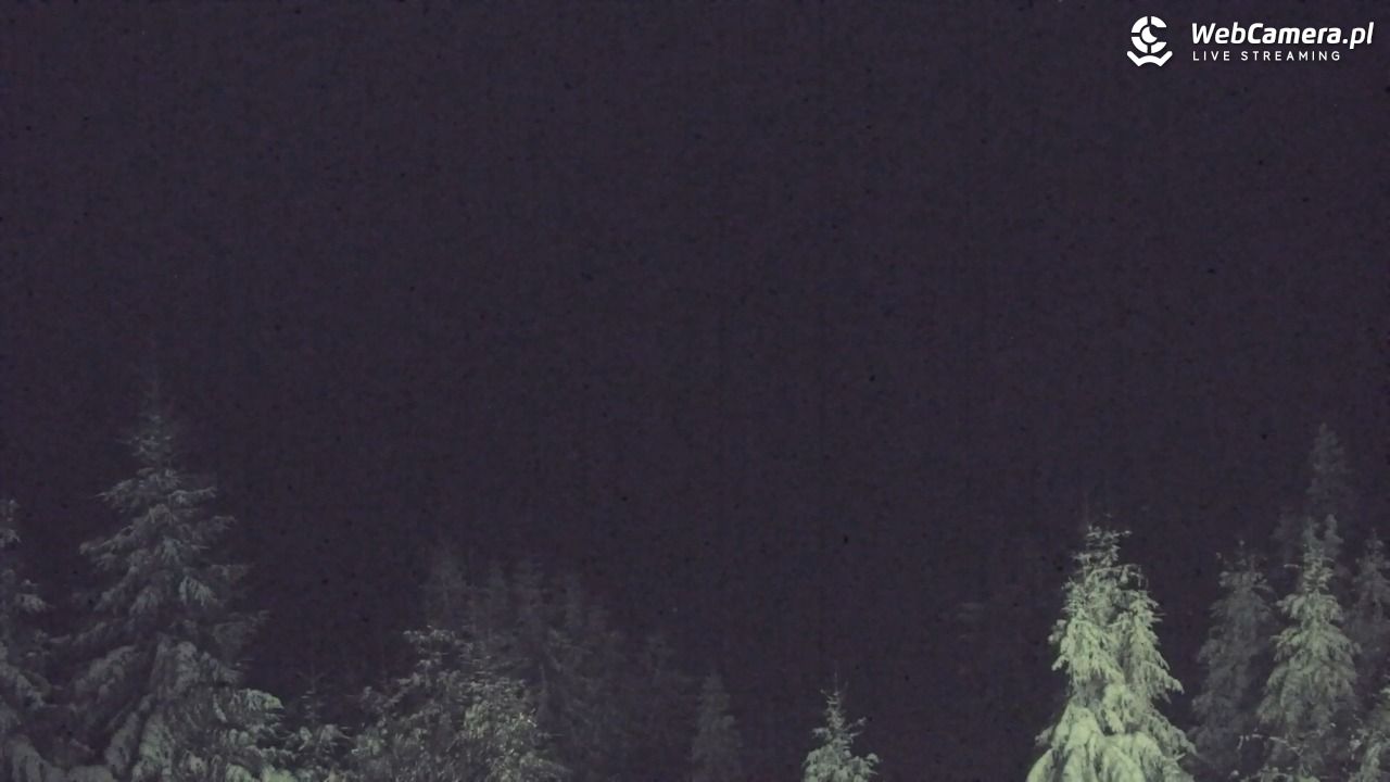 Turbacz - Gorce - 11 styczeń 2026, 18:01