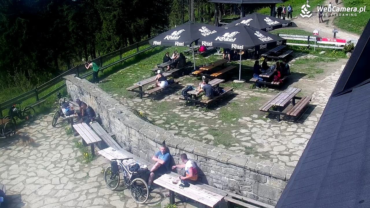 Turbacz - Gorce - 01 czerwiec 2025, 09:57