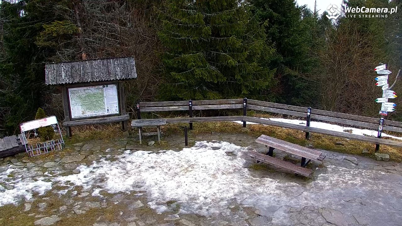 Turbacz - Gorce - 21 grudzień 2025, 07:57