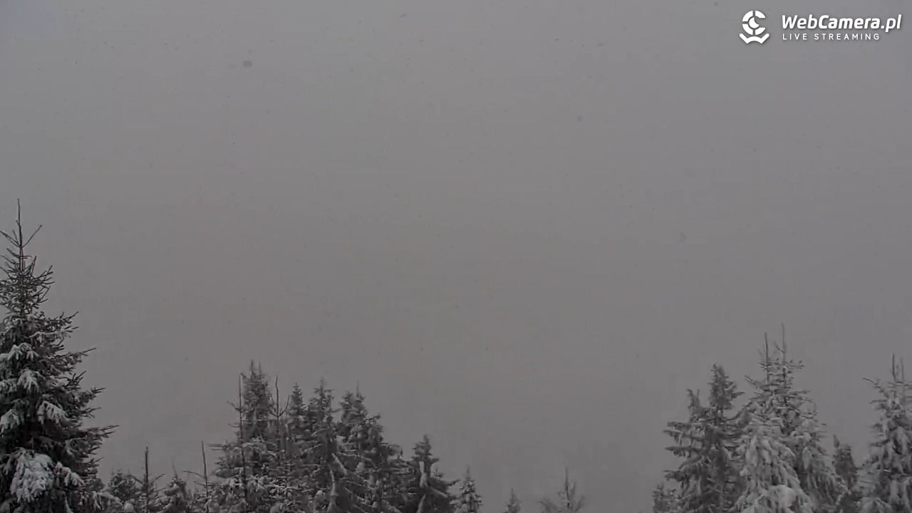 Turbacz - Gorce - 11 styczeń 2026, 10:49