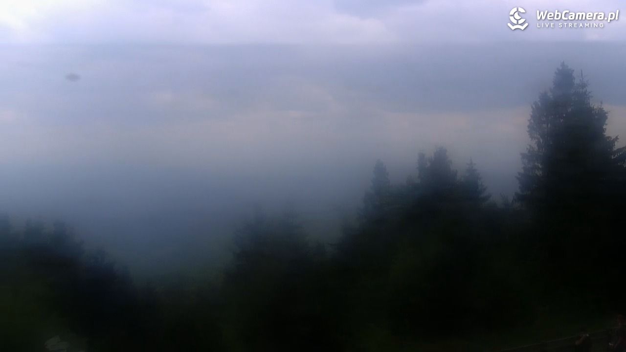 Turbacz - Gorce - 19 czerwiec 2025, 12:09