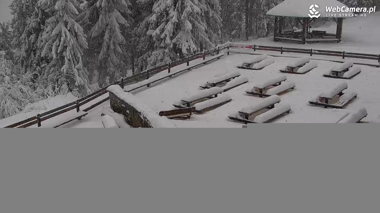 Turbacz - Gorce - 11 styczeń 2026, 12:00