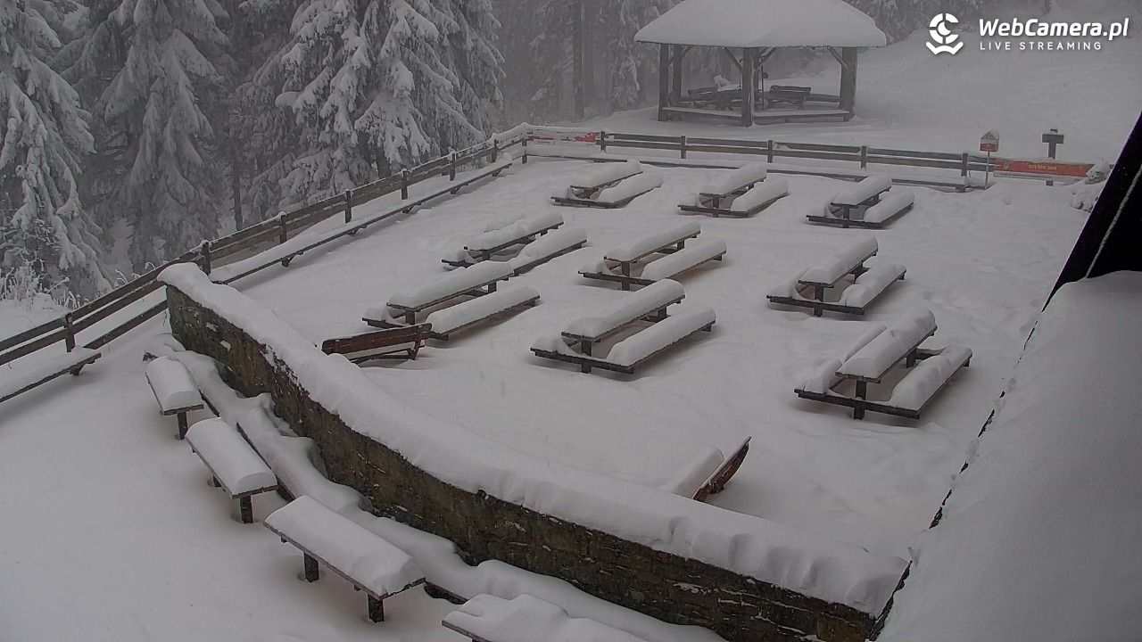 Turbacz - Gorce - 11 styczeń 2026, 08:13