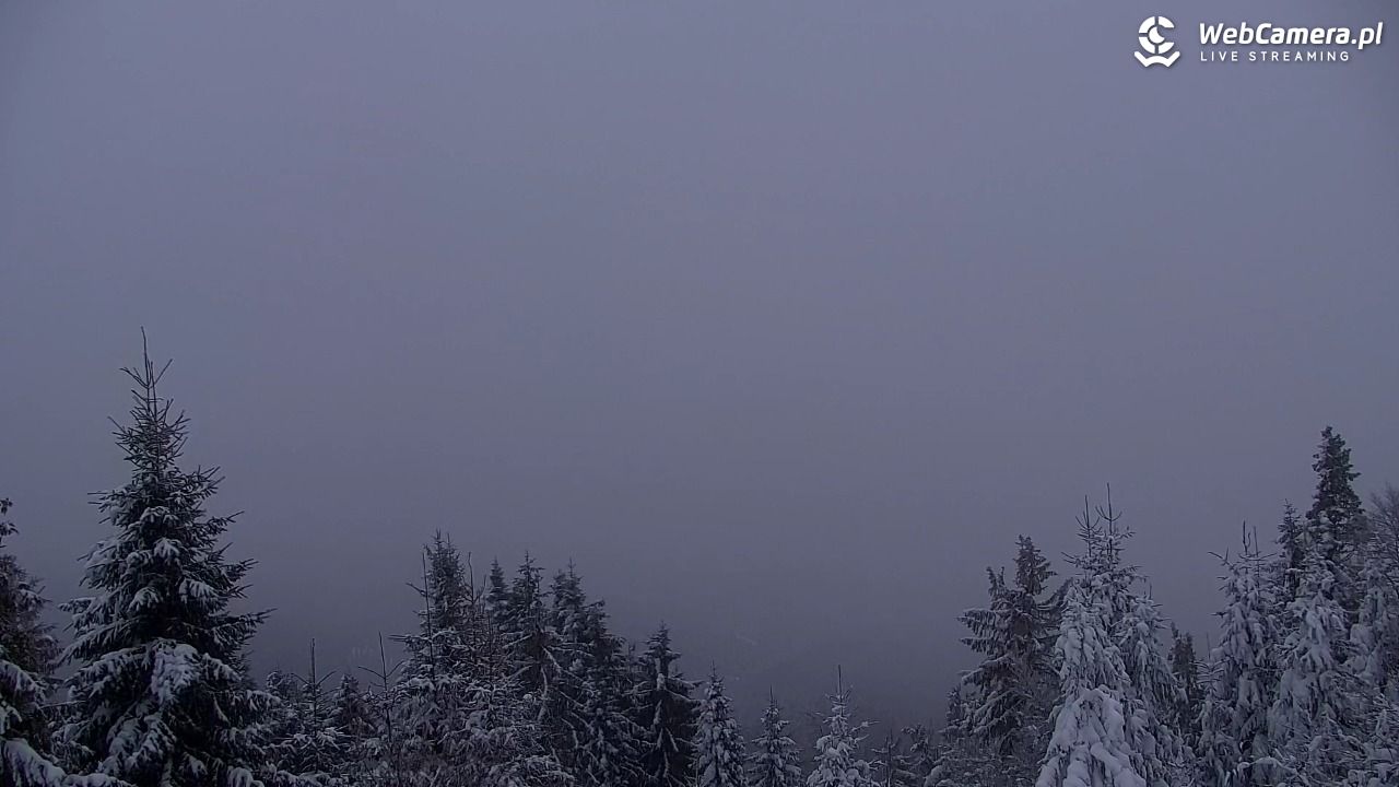 Turbacz - Gorce - 14 styczeń 2026, 16:18