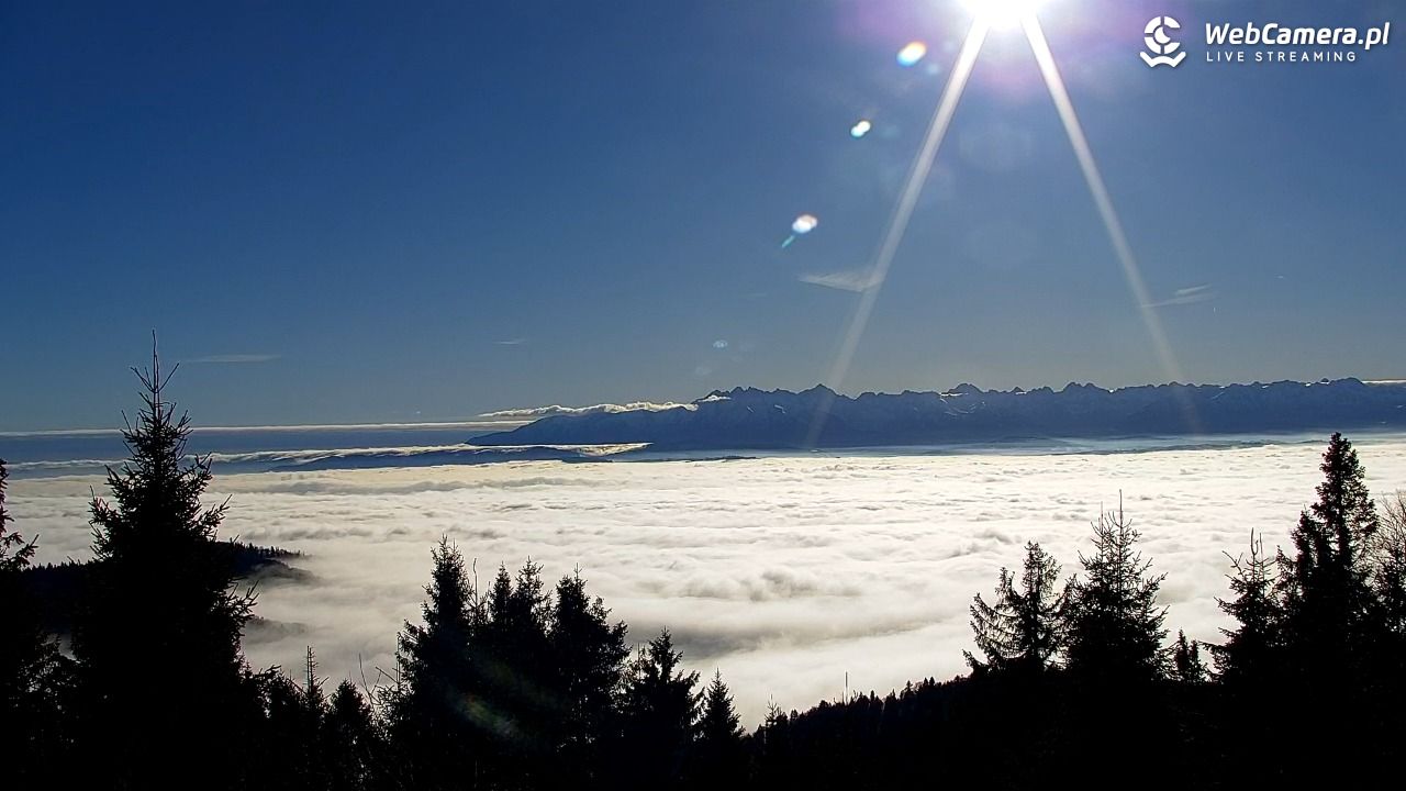 Turbacz - Gorce - 22 grudzień 2025, 11:41