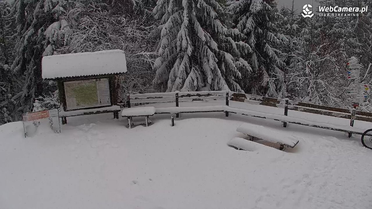 Turbacz - Gorce - 11 styczeń 2026, 14:37
