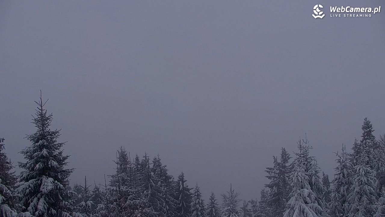 Turbacz - Gorce - 11 styczeń 2026, 07:35