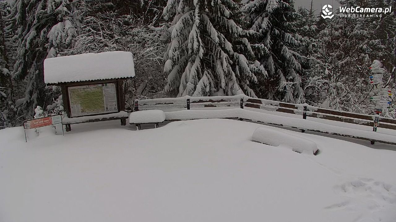 Turbacz - Gorce - 13 styczeń 2026, 08:04