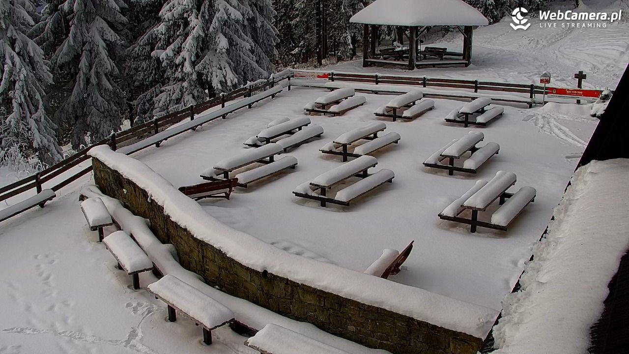 Turbacz - Gorce - 10 styczeń 2026, 10:07