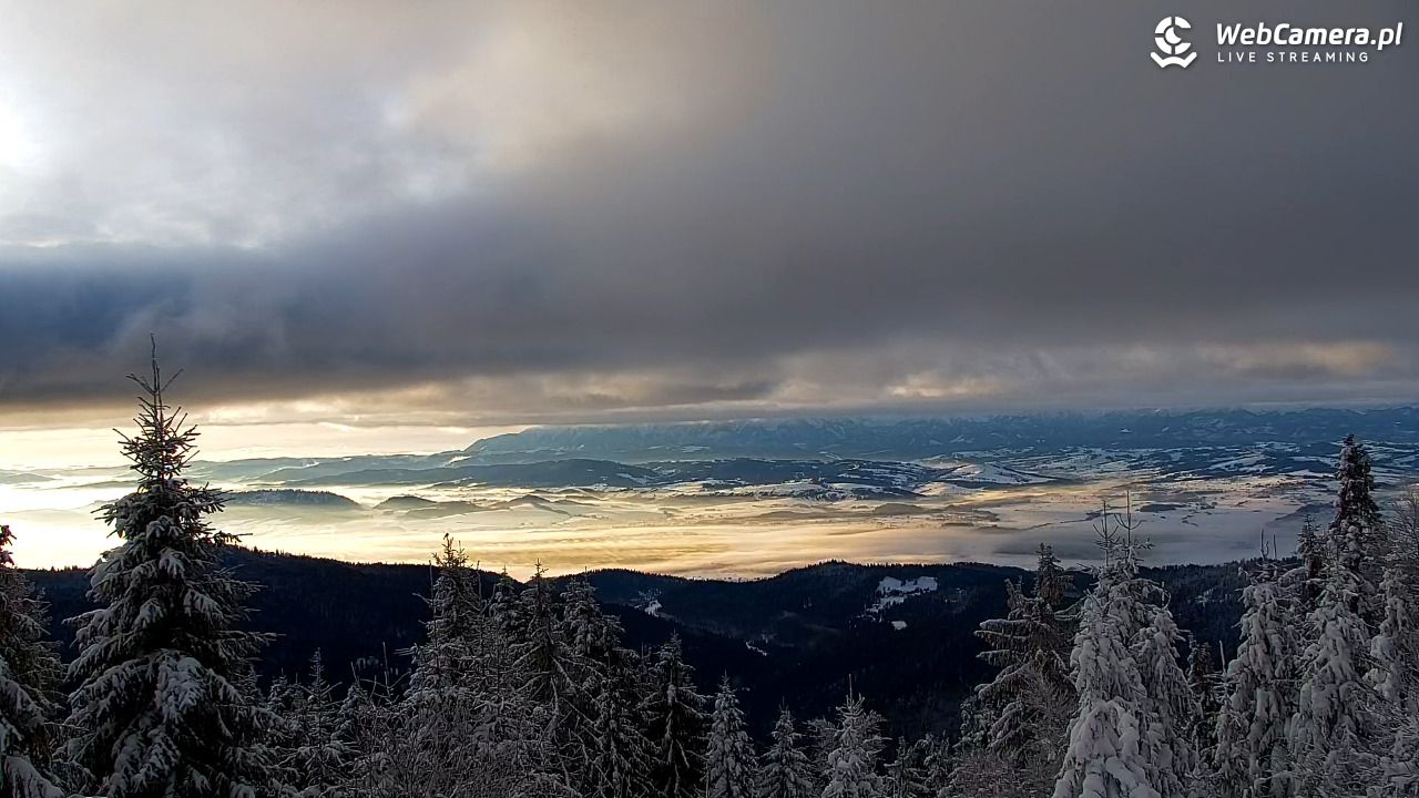 Turbacz - Gorce - 15 styczeń 2026, 08:16